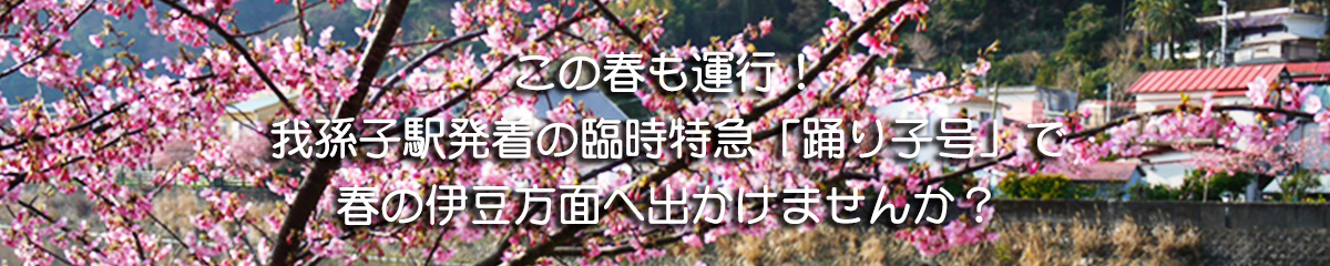 我孫子駅発着「踊り子号」