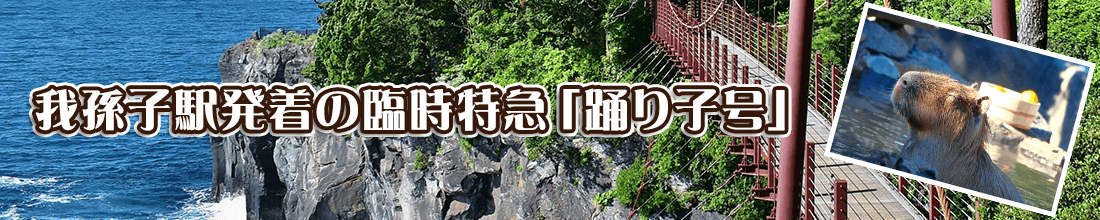 我孫子駅発着「踊り子号」