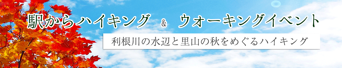 駅からハイキング