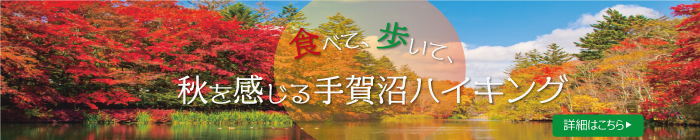 駅からハイキング&ウォーキングイベント